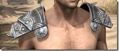 Daggerfall-Covenant-Rawhide-Arm-Cops-Male-Front_thumb.jpg