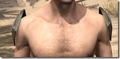 Dark-Brotherhood-Homespun-Epaulets-Male-Front_thumb.jpg