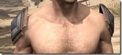 Dark-Brotherhood-Iron-Pauldron-Male-Front_thumb.jpg
