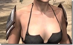 Dark-Brotherhood-Rawhide-Arm-Cops-Female-Front_thumb.jpg