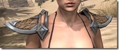 Dark-Elf-Full-Leather-Arm-Cops-Female-Front_thumb.jpg