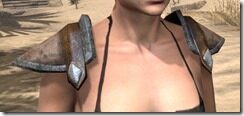 Dark-Elf-Homespun-Epaulets-Female-Front_thumb.jpg