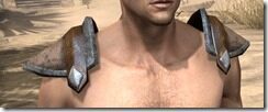 Dark-Elf-Homespun-Epaulets-Male-Front_thumb.jpg