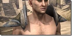 Dark-Elf-Orichalc-Pauldron-Male-Front_thumb.jpg