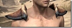 Dark-Elf-Rawhide-Arm-Cops-Male-Front_thumb.jpg