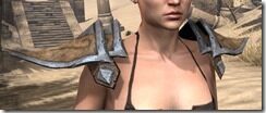 Dark-Elf-Spidersilk-Epaulets-Female-Front_thumb.jpg