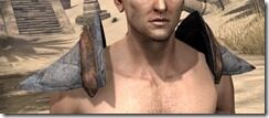 Dark-Elf-Steel-Pauldron-Male-Front_thumb.jpg