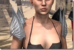 Divine-Prosecution-Heavy-Pauldron-Female-Front_thumb.jpg