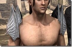 Divine-Prosecution-Heavy-Pauldron-Male-Front_thumb.jpg