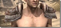 Draugr-Iron-Pauldron-Male-Front_thumb.jpg