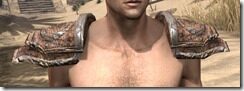Draugr-Rawhide-Arm-Cops-Male-Front_thumb.jpg