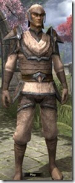 Dunmer-Homespun-Shirt-Male-Front_thumb.jpg