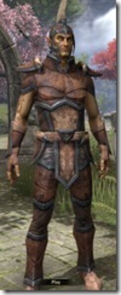 Dunmer-Rawhide-Male-Front_thumb.jpg