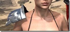 Llambris-Pauldron-Female-Front_thumb.jpg