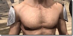 Psijic-Order-Homespun-Epaulets-Male-Front_thumb.jpg