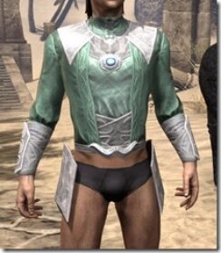 Psijic-Order-Homespun-Jerkin-Male-Front_thumb.jpg