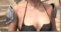 Psijic-Order-Rawhide-Arm-Cops-Female-Front_thumb.jpg
