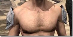 Psijic-Order-Rawhide-Arm-Cops-Male-Front_thumb.jpg