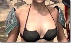 Sapiarch-Iron-Pauldron-Female-Front_thumb.jpg