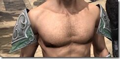 Sapiarch-Iron-Pauldron-Male-Front_thumb.jpg