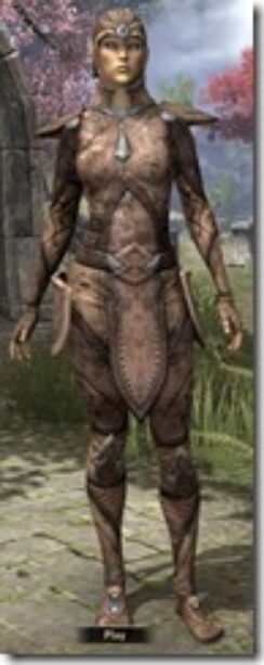 Altmer-Hide-Female-Front_thumb.jpg