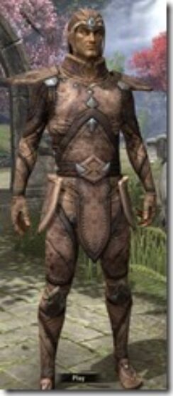 Altmer-Hide-Male-Front_thumb.jpg