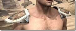 Altmer-Rawhide-Arm-Cops-Male-Front_thumb.jpg