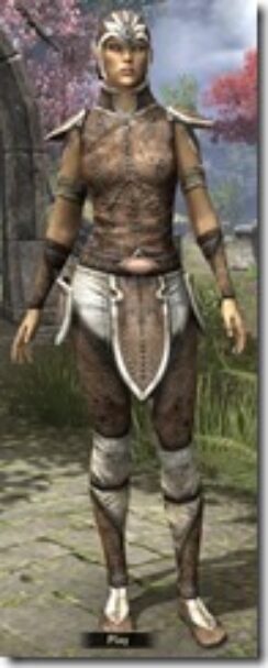 Altmer-Rawhide-Female-Front_thumb.jpg