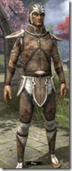 Altmer-Rawhide-Male-Front_thumb.jpg