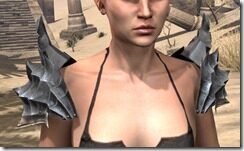 Ebonheart-Pact-Homespun-Epaulets-Female-Front_thumb.jpg