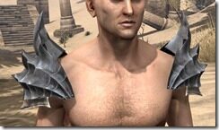 Ebonheart-Pact-Homespun-Epaulets-Male-Front_thumb.jpg