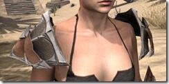 Ebonheart-Pact-Rawhide-Arm-Cops-Female-Front_thumb.jpg