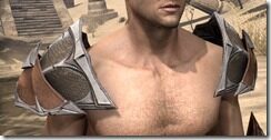 Ebonheart-Pact-Rawhide-Arm-Cops-Male-Front_thumb.jpg