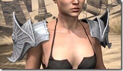 Ebonshadow-Iron-Pauldrons-Female-Front_thumb.jpg