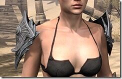Ebonshadow-Rawhide-Arm-Cops-Female-Front_thumb.jpg