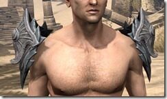 Ebonshadow-Rawhide-Arm-Cops-Male-Front_thumb.jpg