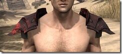 Ebony-Old-Heavy-Pauldron-Male-Front_thumb.jpg