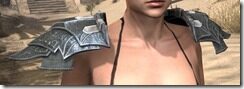 Ebony-Rawhide-Arm-Cops-Female-Front_thumb.jpg
