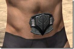 Ebony-Rawhide-Belt-Male-Front_thumb.jpg