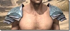 Glass-Iron-Pauldron-Male-Front_thumb.jpg