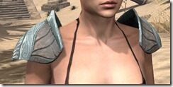 Glass-Rawhide-Arm-Cops-Female-Front_thumb.jpg
