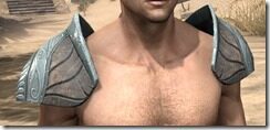Glass-Rawhide-Arm-Cops-Male-Front_thumb.jpg