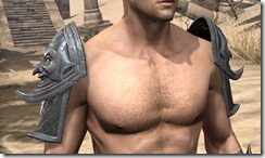 Grim-Harlequin-Iron-Pauldron-Male-Front_thumb.jpg