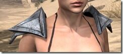 High-Elf-Steel-Pauldrons-Female-Front_thumb.jpg