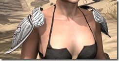 Hlaalu-Homespun-Epaulets-Female-Front_thumb.jpg