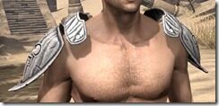 Hlaalu-Homespun-Epaulets-Male-Front_thumb.jpg