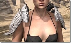Hlaalu-Rawhide-Arm-Cops-Female-Front_thumb.jpg