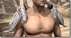 Hlaalu-Rawhide-Arm-Cops-Male-Front_thumb.jpg