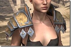Imperial-Dwarven-Pauldron-Female-Front_thumb.jpg