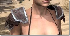 Imperial-Full-Leather-Arm-Cops-Female-Front_thumb.jpg